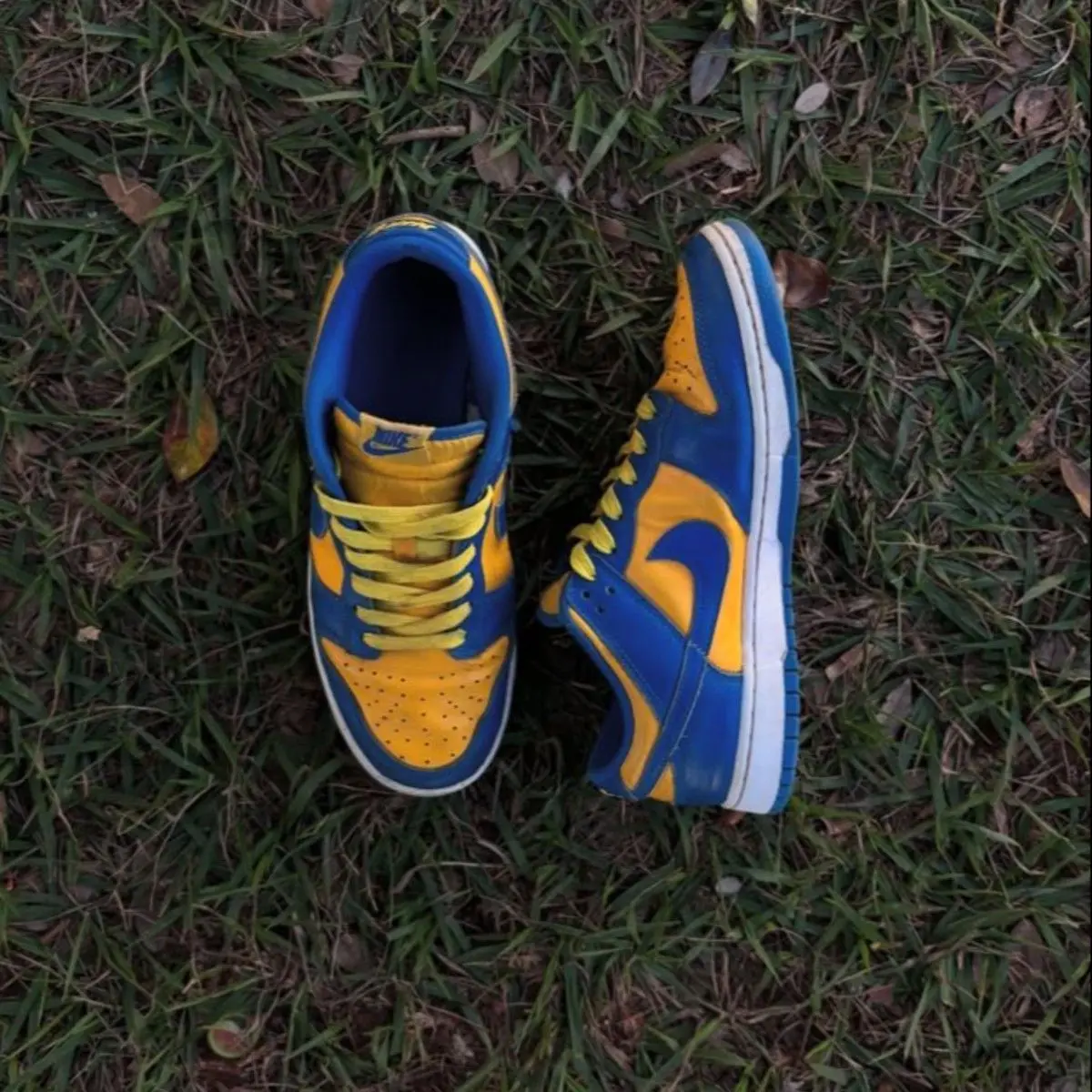 Nike Dunk UCLA